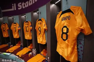 哈希体育入口 -法兰克福清晨更衣室发声，志在德甲名次提升，球迷炸锅，训练强度明显提升的简单介绍